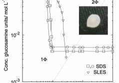 Figure 1. Phase diagram of chitosan sodium dodecyl sulfate (sds) (squares and circles for Acetic acid at 1.0 and 2.5 wt% solutions, respectively) and sodium laureth sulfate (sles) with 2.5 EO units on average (triangles). Reprinted from Advances in Colloid and Interface Science, 220, 2015, 92-107, with permission from Elsevier.