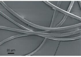 Fig. 1 Scanning electron micrograph of PET microfibers